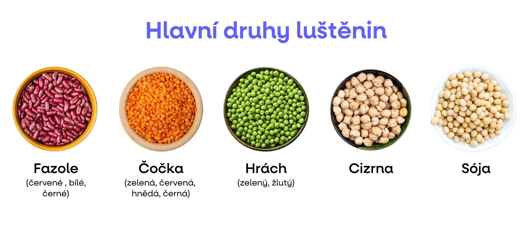 lusteniny info bilkoviny